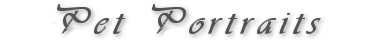 Pet Portraits Header